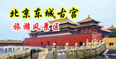 操骚货浪B视频在线观看中国北京-东城古宫旅游风景区